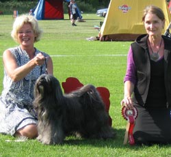 Best in Show