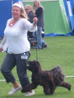  Zigge & Pia 