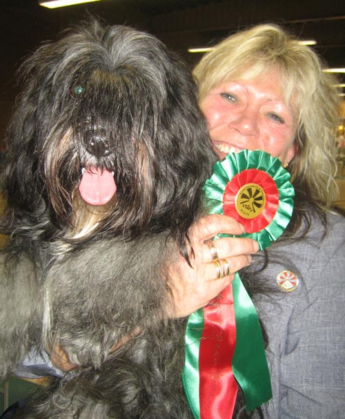 2:a bästa hane / CK / CERT / CHAMPIONAT: Such Kuai Le Gou´s Imai In Toto "Torsten".