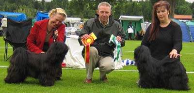 BIR / CACIB: Such Kuai Le Gou´s Godrick Ganandorf, äg: Mia Wulff, Järpen