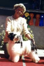 Queenie vann sin klass & 5:a BT