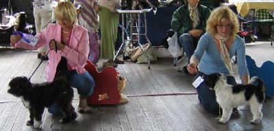 Vann sin klass! Sussie & Cecilia, 2:a Jinsei