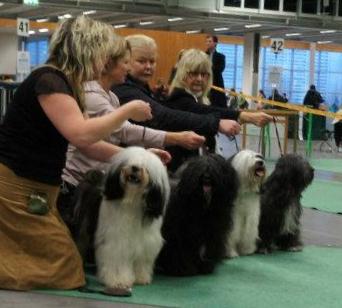 2:a bästa uppfödare/HP: KUai Le Gou´s kennel